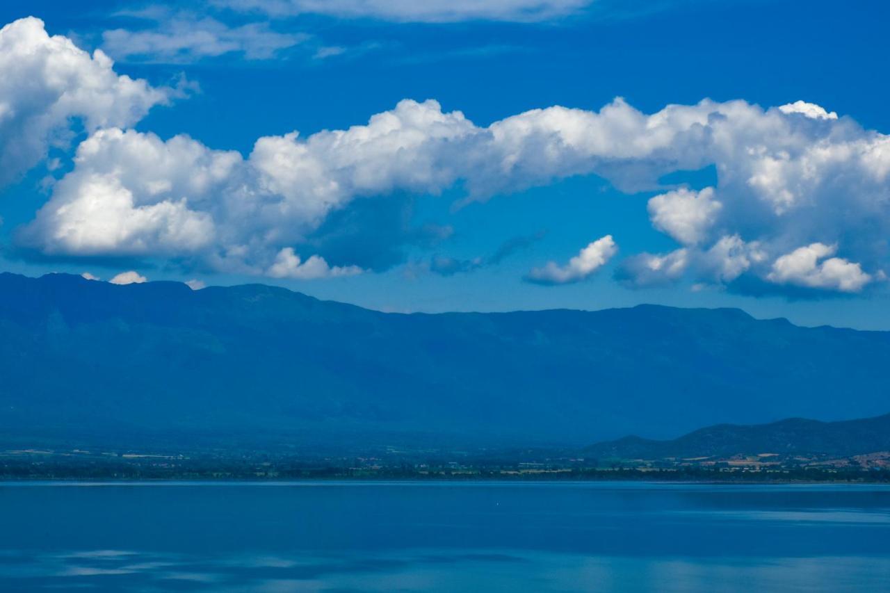 Villa Marija - Izgrev Dojran Bagian luar foto